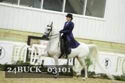 24BUCK_03101 thumbnail