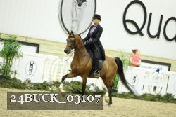 24BUCK_03107 thumbnail