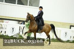 24BUCK_03108 thumbnail