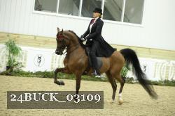 24BUCK_03109 thumbnail