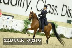 24BUCK_03110 thumbnail