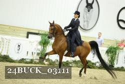 24BUCK_03111 thumbnail