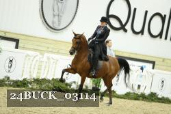 24BUCK_03114 thumbnail