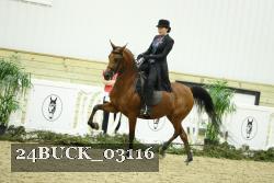 24BUCK_03116 thumbnail