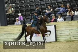 24BUCK_03121 thumbnail