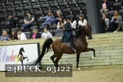 24BUCK_03122 thumbnail