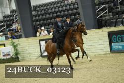24BUCK_03123 thumbnail