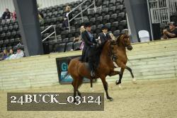 24BUCK_03124 thumbnail