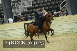 24BUCK_03125 thumbnail