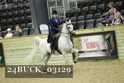 24BUCK_03129 thumbnail