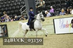 24BUCK_03130 thumbnail