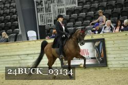 24BUCK_03134 thumbnail