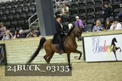 24BUCK_03135 thumbnail