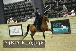 24BUCK_03136 thumbnail
