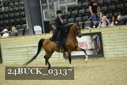 24BUCK_03137 thumbnail