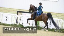 24BUCK_03147 thumbnail
