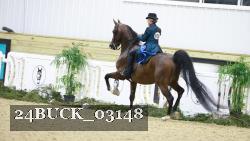 24BUCK_03148 thumbnail