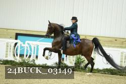 24BUCK_03149 thumbnail
