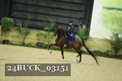 24BUCK_03151 thumbnail