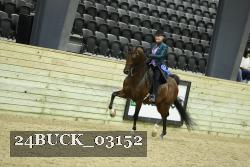 24BUCK_03152 thumbnail