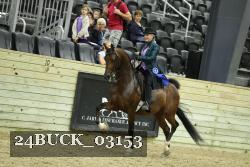 24BUCK_03153 thumbnail