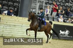 24BUCK_03154 thumbnail