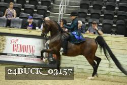 24BUCK_03157 thumbnail