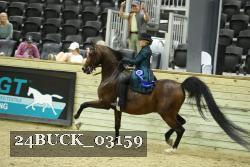 24BUCK_03159 thumbnail