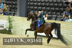 24BUCK_03162 thumbnail
