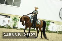 24BUCK_03167 thumbnail