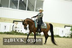 24BUCK_03168 thumbnail