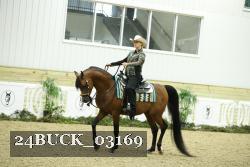 24BUCK_03169 thumbnail