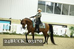 24BUCK_03170 thumbnail