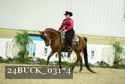 24BUCK_03174 thumbnail