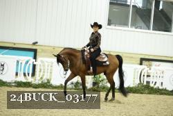 24BUCK_03177 thumbnail