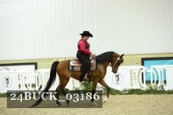24BUCK_03186 thumbnail