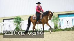 24BUCK_03188 thumbnail