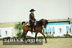 24BUCK_03189 thumbnail