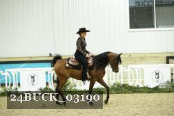 24BUCK_03190 thumbnail