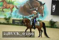 24BUCK_03196 thumbnail