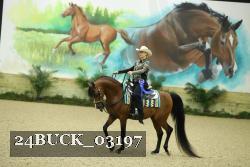 24BUCK_03197 thumbnail