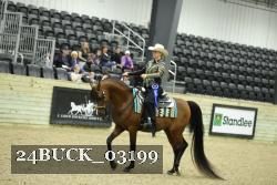 24BUCK_03199 thumbnail