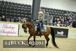 24BUCK_03201 thumbnail