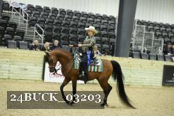 24BUCK_03203 thumbnail