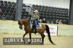 24BUCK_03204 thumbnail