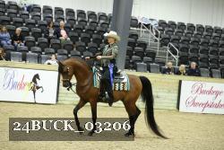 24BUCK_03206 thumbnail