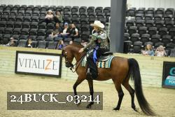 24BUCK_03214 thumbnail
