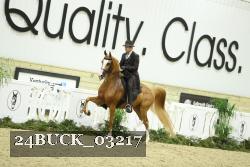 24BUCK_03217 thumbnail