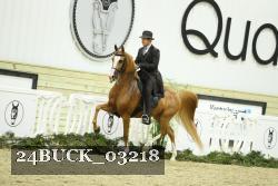 24BUCK_03218 thumbnail
