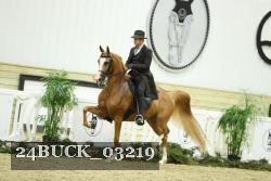 24BUCK_03219 thumbnail